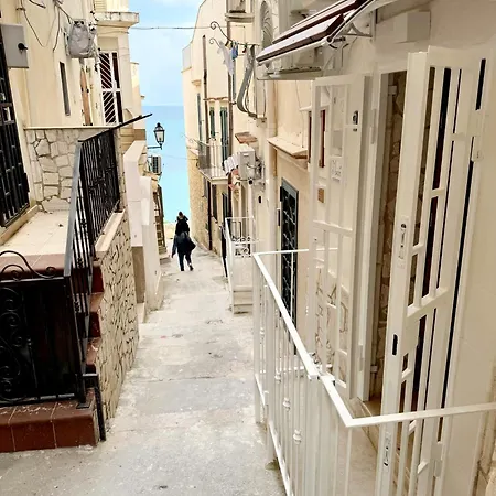 Mare' بيت ضيافة فيستَ